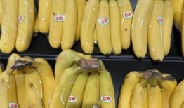 国产精品香蕉,甜蜜滋味，健康之选