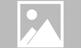 卡通动漫 在线观看,在线观看的奇幻之旅